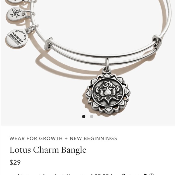 Alex and Ani 4 charm bracelet bundle - Picture 5 of 16